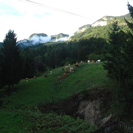 Holiday Home Bela Bohinjska Bela Kültér fotó