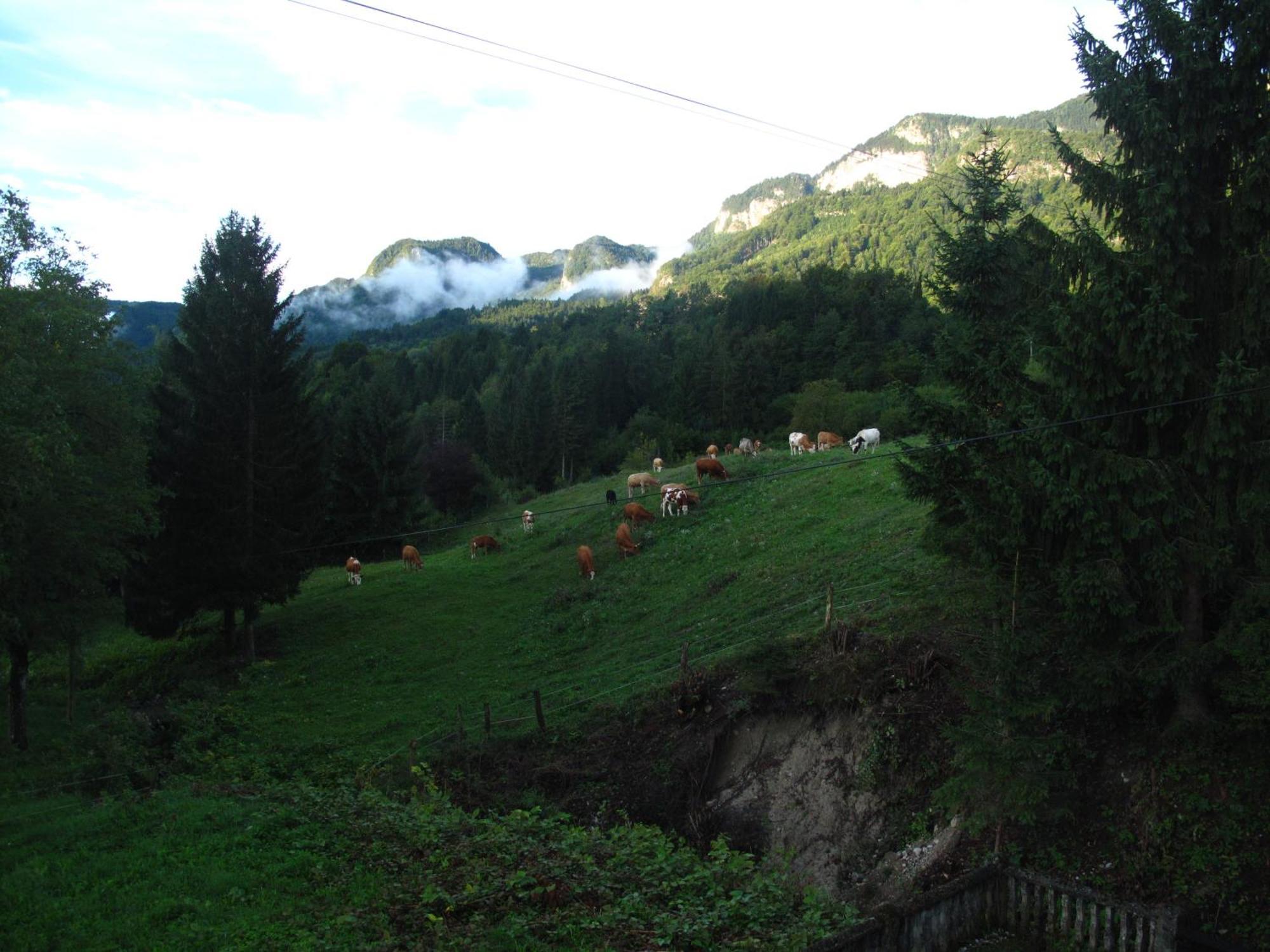 Holiday Home Bela Bohinjska Bela Kültér fotó